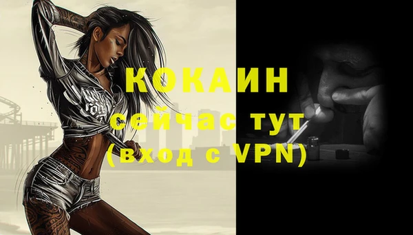 крисы Богородицк