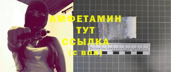 крисы Богородицк