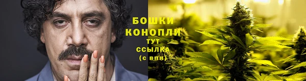 винт Богданович