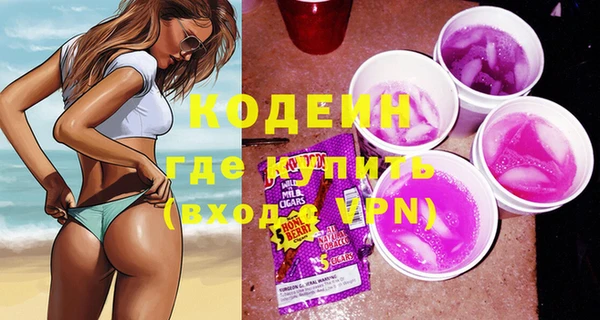 крисы Богородицк