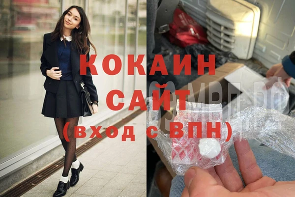 крисы Богородицк