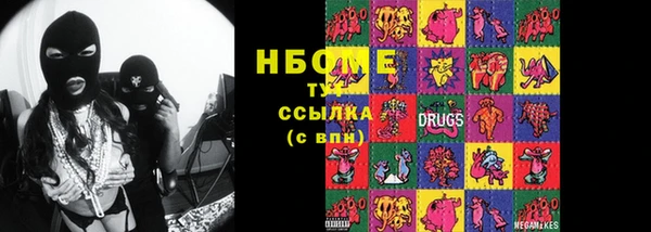 крисы Богородицк