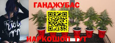 дживик Балахна