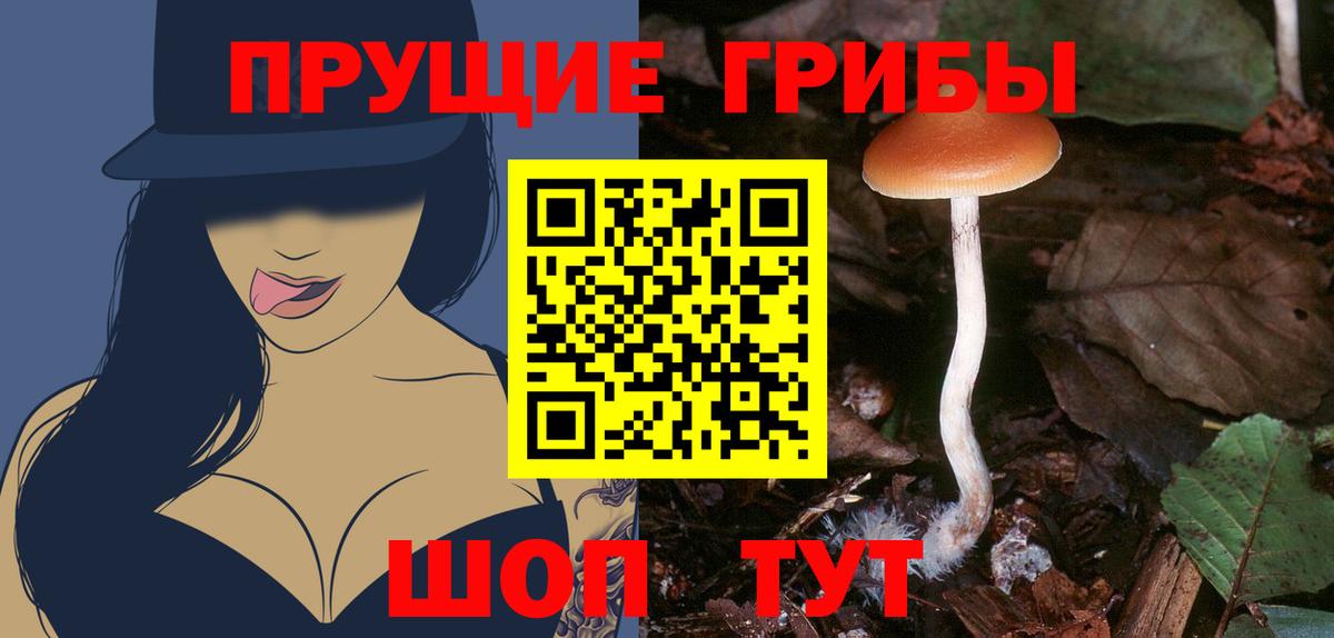 Галлюциногенные грибы Cubensis Вичуга
